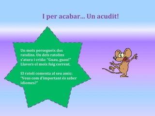  	
  	
  	
  I	
  per	
  acabar...	
  Un	
  acudit!	
  
	
  
	
  	
  	
  	
  	
  	
  
	
  
	
  
	
  	
  
Un	
  moix	
  persegueix	
  dos	
  
ratolins.	
  Un	
  dels	
  ratolins	
  
s’atura	
  i	
  crida:	
  “Guau,	
  guau!”	
  
Llavors	
  el	
  moix	
  fuig	
  corrent.	
  	
  
	
  
El	
  ratolí	
  comenta	
  al	
  seu	
  amic:	
  
“Veus	
  com	
  d’important	
  és	
  saber	
  
idiomes?”	
  
	
  
 