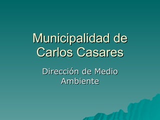 Municipalidad de
Carlos Casares
 Dirección de Medio
      Ambiente
 