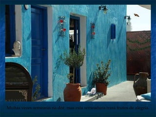 Muitas vezes   semearás na dor, mas esta semeadura trará frutos de alegria.  