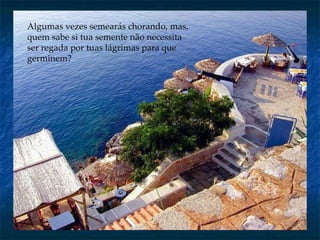 Algumas vezes semearás chorando, mas, quem sabe si tua semente não necessita ser regada por tuas lágrimas para que germinem? 