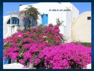 A vida é um jardim 