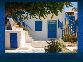 Cuide para que seja como o trigo, que alimenta as pessoas, e não produzem espinhos e ervas daninhas que tornam as almas estéreis.  