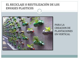 EL RECICLAJE O REUTILIZACIÓN DE LOS
ENVASES PLASTICOS
PARA LA
CREACION DE
PLANTACIONES
EN VERTICAL
 