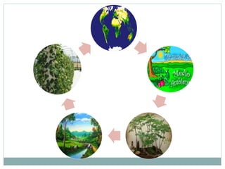 Cuidemos el medio ambiente