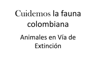 Cuidemos la fauna colombiana Animales en Vía de Extinción 