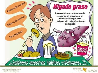 MARLON ALFARO ARAYA
DIRECTOR NACIONAL DE VENTAS
directorflpcostarica@hotmail.com
http://www.foreverliving.com/
 