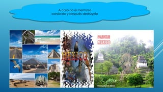 A caso no es hermoso
conócelo y después destrúyelo
 