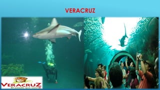 VERACRUZ
 
