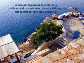 A menudo sembrarás llorando, pero,
¿quién sabe si tu simiente no necesita del riego de
      tus lágrimas para que germine?
 