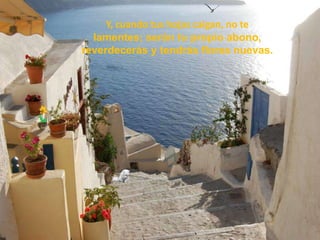 Y, cuando tus hojas caigan, no te
  lamentes; serán tu propio abono,
reverdecerás y tendrás flores nuevas.
 