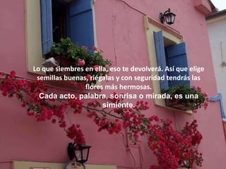 Lo que siembres en ella, eso te devolverá. Así que elige
 semillas buenas, riégalas y con seguridad tendrás las
                flores más hermosas.
  Cada acto, palabra, sonrisa o mirada, es una
                      simiente.
 