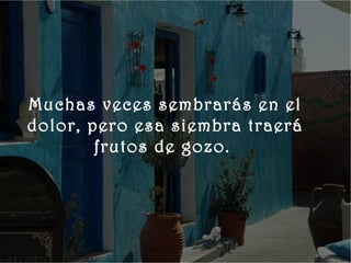       
    




         Muchas veces sembrarás en el
         dolor, pero esa siembra traerá
                 frutos de gozo.
 