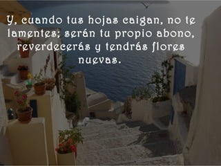    
 
      Y, cuando tus hojas caigan, no te
      lamentes; serán tu propio abono,
        reverdecerás y tendrás flores
                  nuevas.
 