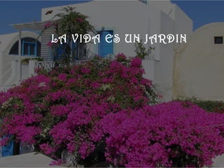    
 


      LA VIDA ES UN JARDIN
 
