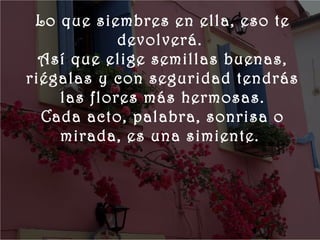       
          Lo que siembres en ella, eso te
                     devolverá.
           Así que elige semillas buenas,
         riégalas y con seguridad tendrás
             las flores más hermosas.
           Cada acto, palabra, sonrisa o
             mirada, es una simiente.
 