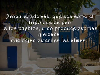       
    


    Procura, además, que sea como el
            trigo que da pan
   a los pueblos, y no produce espinas
                y cizaña
      que dejan estériles las almas.
 