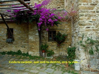 Cuida tu carácter, que será tu destino, será tu vida...."
 