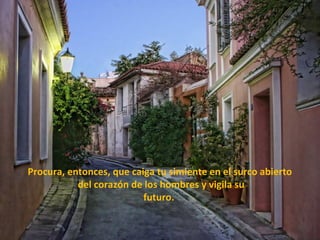 Procura, entonces, que caiga tu simiente en el surco abierto
           del corazón de los hombres y vigila su
                          futuro.
 