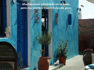Muchas veces sembrarás en el dolor,
pero esa siembra traerá frutos de gozo.
 