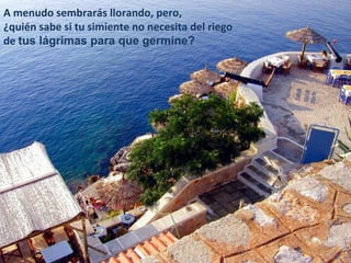 A menudo sembrarás llorando, pero,
¿quién sabe si tu simiente no necesita del riego
de tus lágrimas para que germine?
 