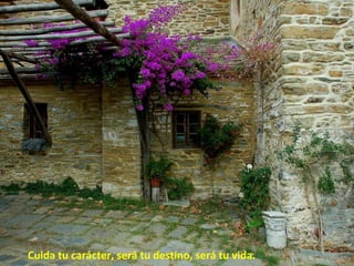 Cuida tu carácter, será tu destino, será tu vida.
 