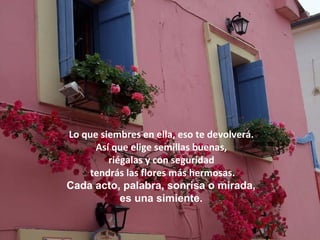 Lo que siembres en ella, eso te devolverá.
      Así que elige semillas buenas,
         riégalas y con seguridad
     tendrás las flores más hermosas.
Cada acto, palabra, sonrisa o mirada,
            es una simiente.
 