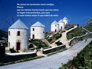 No tomes las tormentas como castigos.
Piensa
que los vientos fuertes harán que tus raíces
se hagan más profundas, para que
tu rosal resista mejor lo que habrá de venir.
 