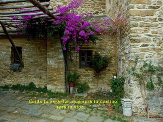 Cuida tu carácter, que será tu destino,
será tu vida...."
 