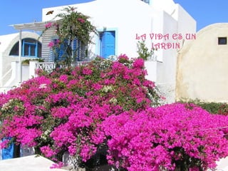 LA VIDA ES UN
JARDIN
 