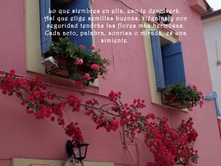 Lo que siembres en ella, eso te devolverá.
Así que elige semillas buenas, riégalas y con
seguridad tendrás las flores más hermosas.
Cada acto, palabra, sonrisa o mirada, es una
simiente.
 