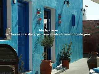 Muchas veces
sembrarás en el dolor, pero esa siembra traerá frutos de gozo.
 