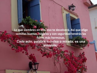 Lo que siembres en ella, eso te devolverá. Así que elige
semillas buenas, riégalas y con seguridad tendrás las
flores más hermosas.
Cada acto, palabra, sonrisa o mirada, es una
simiente.
 