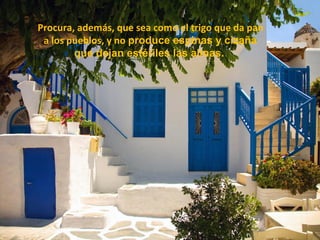 Procura, además, que sea como el trigo que da pan
a los pueblos, y no produce espinas y cizaña
que dejan estériles las almas.
 