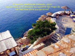 A menudo sembrarás llorando, pero,
¿quién sabe si tu simiente no necesita del riego de
tus lágrimas para que germine?
 