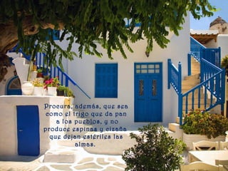 Procura, además, que sea
como el trigo que da pan
a los pueblos, y no
produce espinas y cizaña
que dejan estériles las
almas.
 