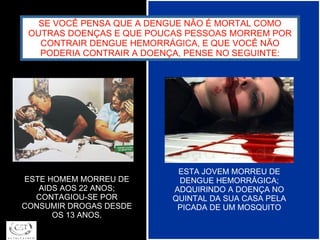 SE VOCÊ PENSA QUE A DENGUE NÃO É MORTAL COMO OUTRAS DOENÇAS E QUE POUCAS PESSOAS MORREM POR CONTRAIR DENGUE HEMORRÁGICA, E QUE VOCÊ NÃO PODERIA CONTRAIR A DOENÇA, PENSE NO SEGUINTE: ESTE HOMEM MORREU DE AIDS AOS 22 ANOS; CONTAGIOU-SE POR CONSUMIR DROGAS DESDE OS 13 ANOS. ESTA JOVEM MORREU DE DENGUE HEMORRÁGICA; ADQUIRINDO A DOENÇA NO QUINTAL DA SUA CASA PELA PICADA DE UM MOSQUITO 
