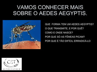 VAMOS CONHECER MAIS SOBRE O AEDES AEGYPTIS. QUE  FORMA TEM UM AEDES AEGYPTIS? O QUE TRANSMITE, E POR QUÊ? COMO E ONDE NASCE?  POR QUE SÓ AS FÊMEAS PICAM?  POR QUE É TÃO DIFÍCIL ERRADICÁ-LO  