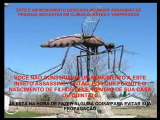 ESTE É UM MONUMENTO DEDICADO AO MAIOR ASSASSINO DE PESSOAS INOCENTES EM CLIMAS QUENTES E TEMPERADOS VOCÊ NÃO CONSTRUIRIA UM MONUMENTO A ESTE INSETO ASSASSINO? ENTÃO, POR QUE PERMITE O NASCIMENTO DE FILHOS DELE, DENTRO DE SUA CASA OU QUINTAL? JÁ ESTÁ NA HORA DE FAZER ALGUMA COISA PARA EVITAR SUA PROPAGAÇÃO 