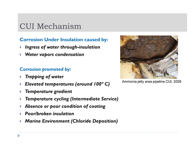 Corrosion Under Insulation Inspection In Ammonia Urea Plant | PDF ...