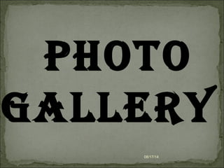 08/17/14
PHOTO
GALLERY
 