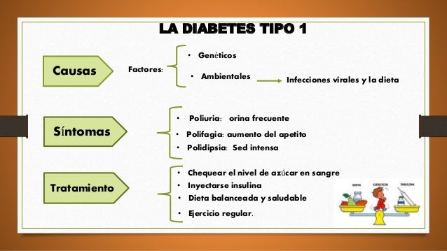 La diabetes conceptos basicos La diabetes conceptos basicos