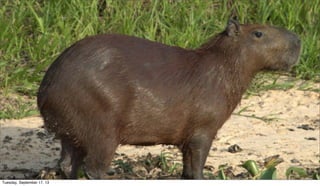 Tuesday, September 17, 13
 