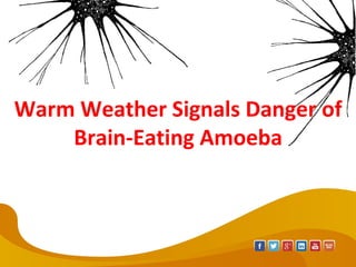 Warm Weather Signals Danger of
Brain-Eating Amoeba
 