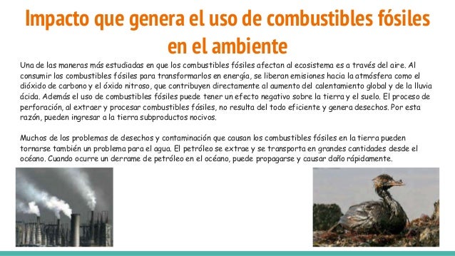 Cuál es el impacto de los combustibles y posibles alternativas de sol…