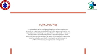 Culícidos y triatominos..ppsx