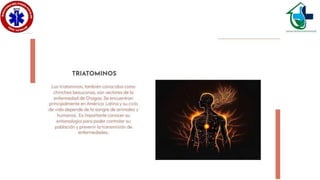 Culícidos y triatominos..ppsx