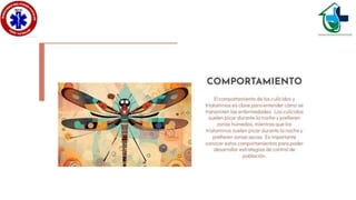 Culícidos y triatominos..ppsx