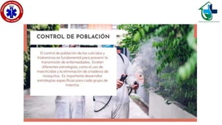 Culícidos y triatominos..ppsx