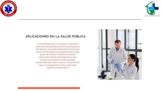 Culícidos y triatominos..ppsx