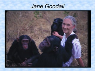 Jane Goodall
 
